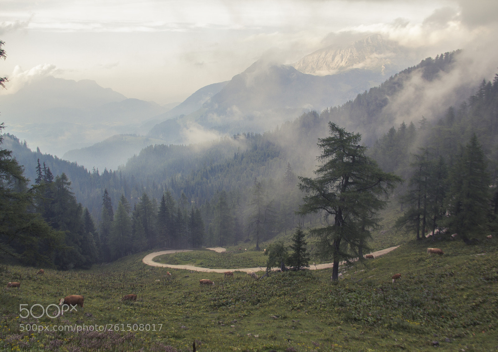Canon EOS 60D sample photo. Berchtesgaden brumeux photography