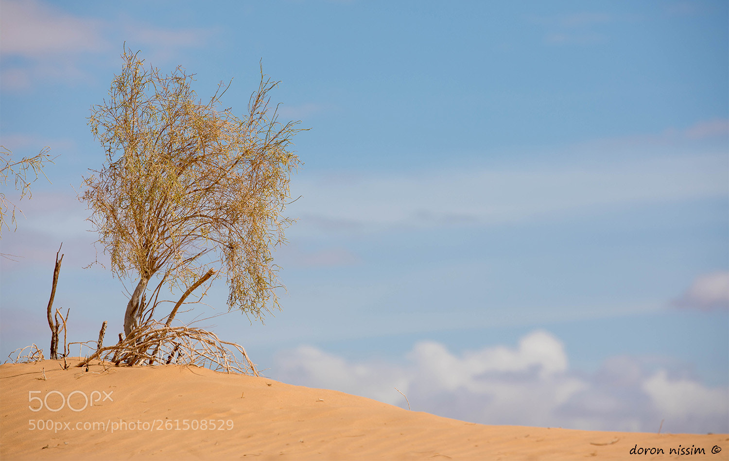 Canon EOS 5D Mark IV sample photo. Yotvata photography
