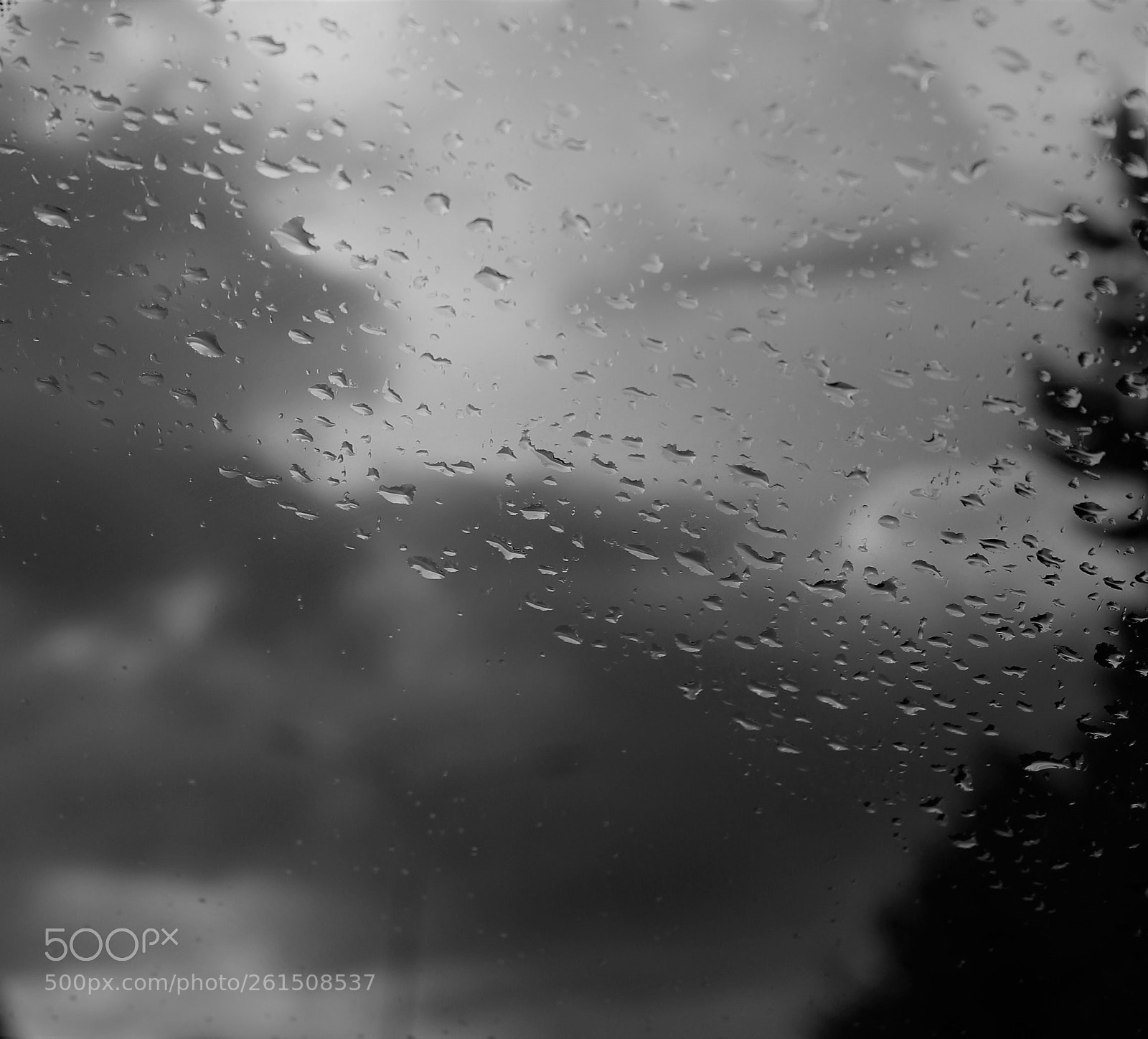 Canon EOS 1300D (EOS Rebel T6 / EOS Kiss X80) sample photo. Día de lluvia photography