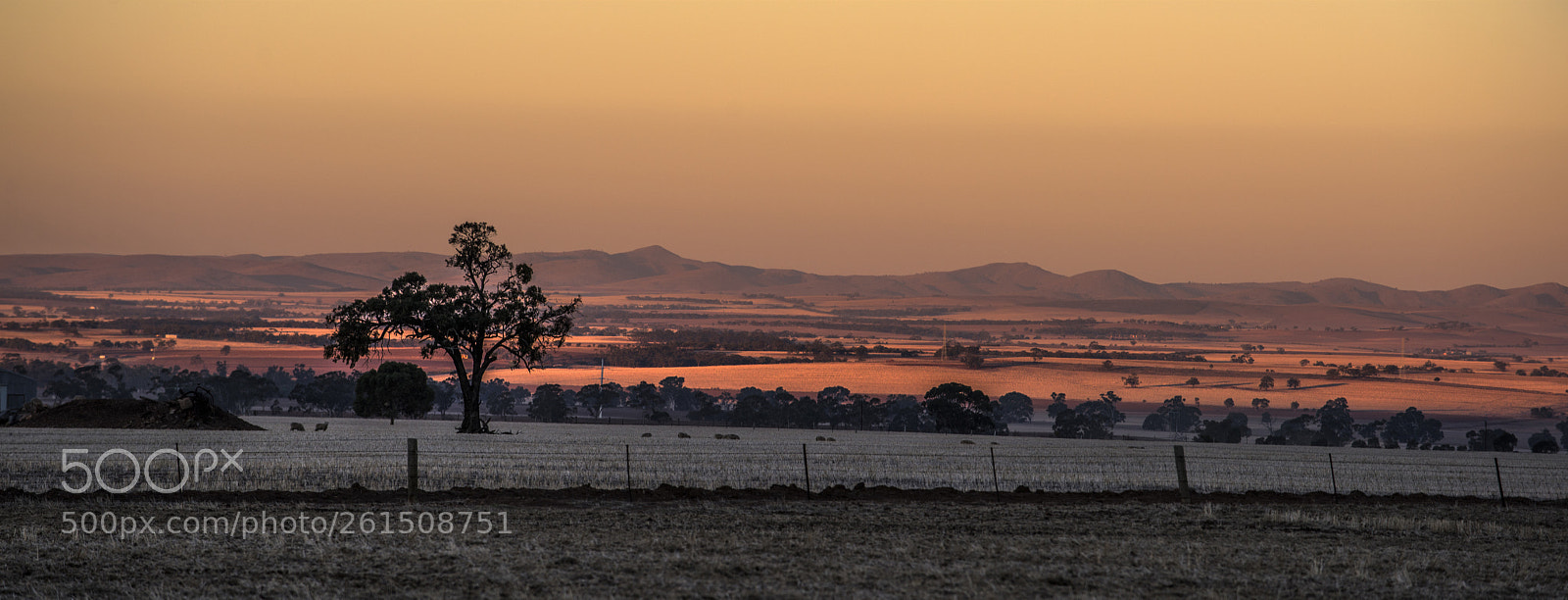 Nikon D810 sample photo. First light near melrose photography