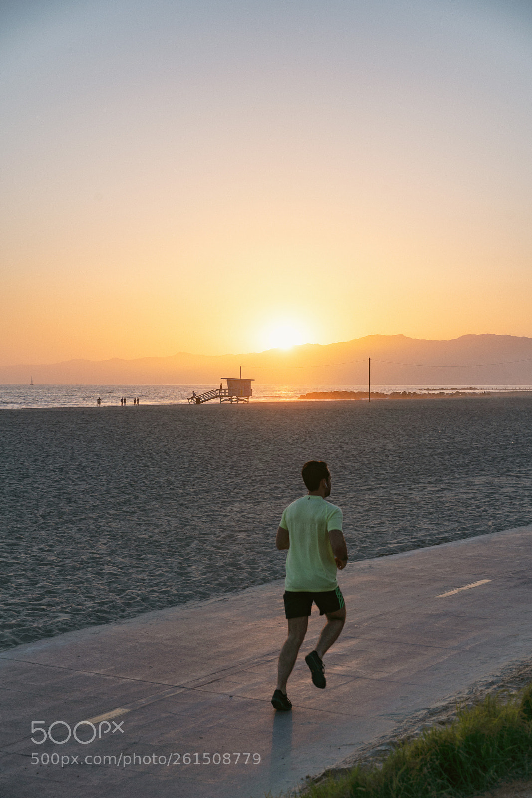 Sony a7R III sample photo. Where do you run? photography