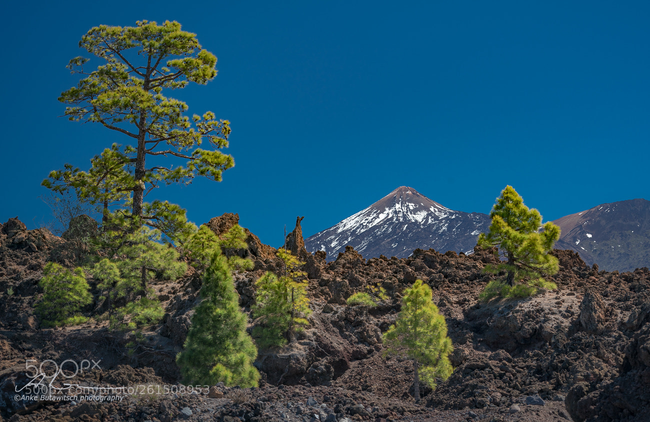 Sony a7R II sample photo. El teide 2 photography