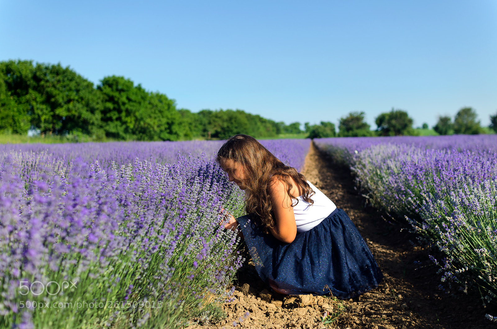Nikon D5100 sample photo. Flower photography