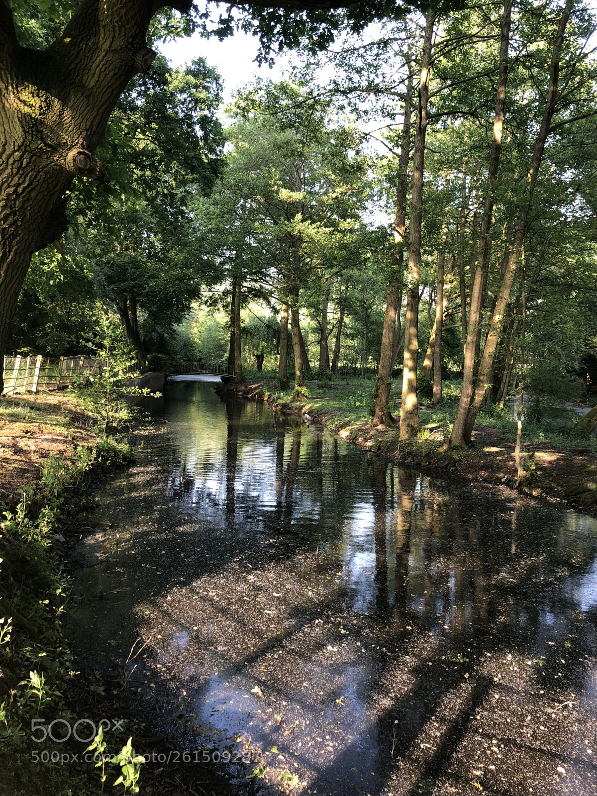 Apple iPhone 8 Plus sample photo. By the still waters photography
