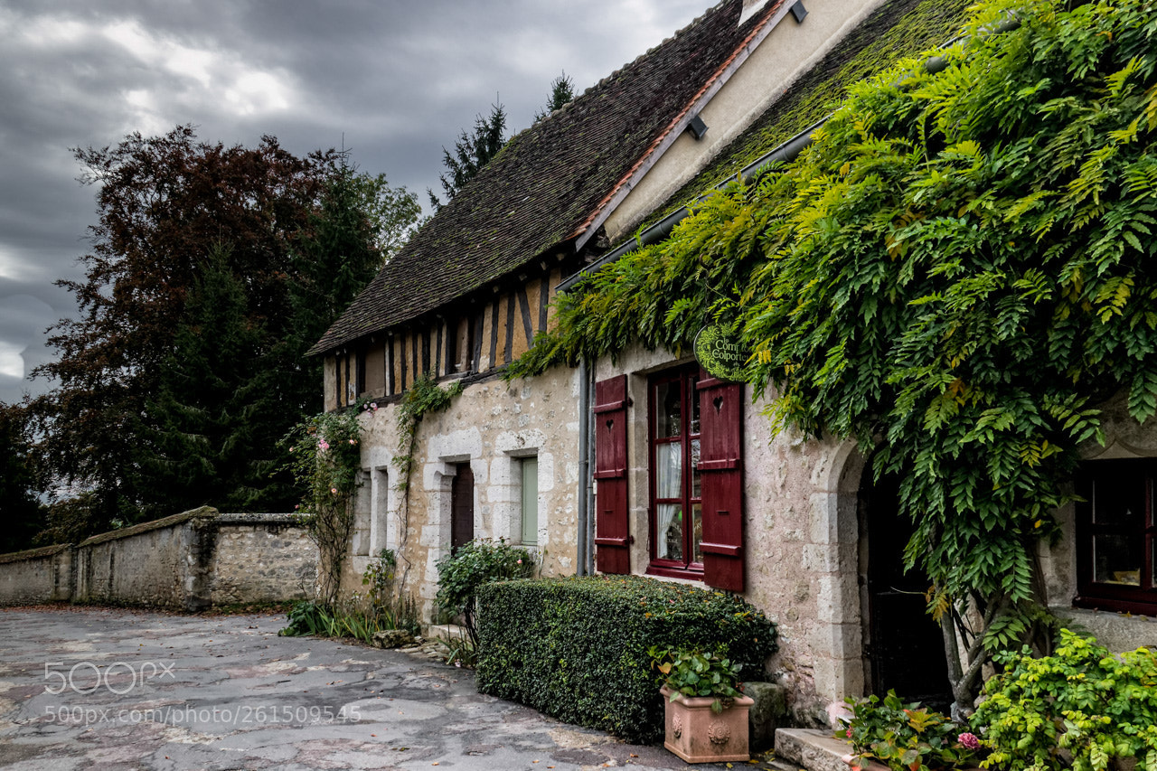 Canon EOS 600D (Rebel EOS T3i / EOS Kiss X5) sample photo. Provins photography