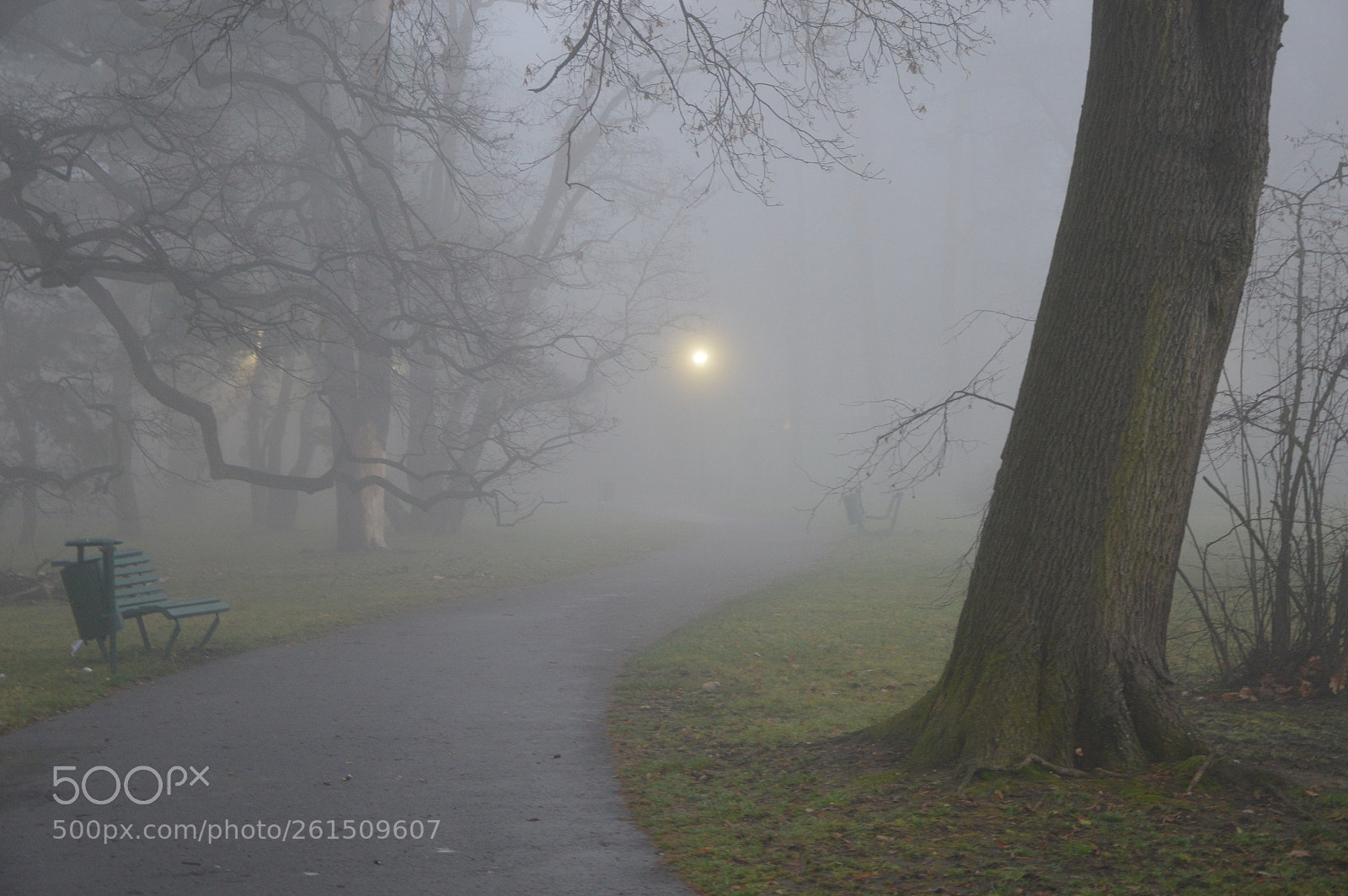 Nikon D3200 sample photo. Eerie photography