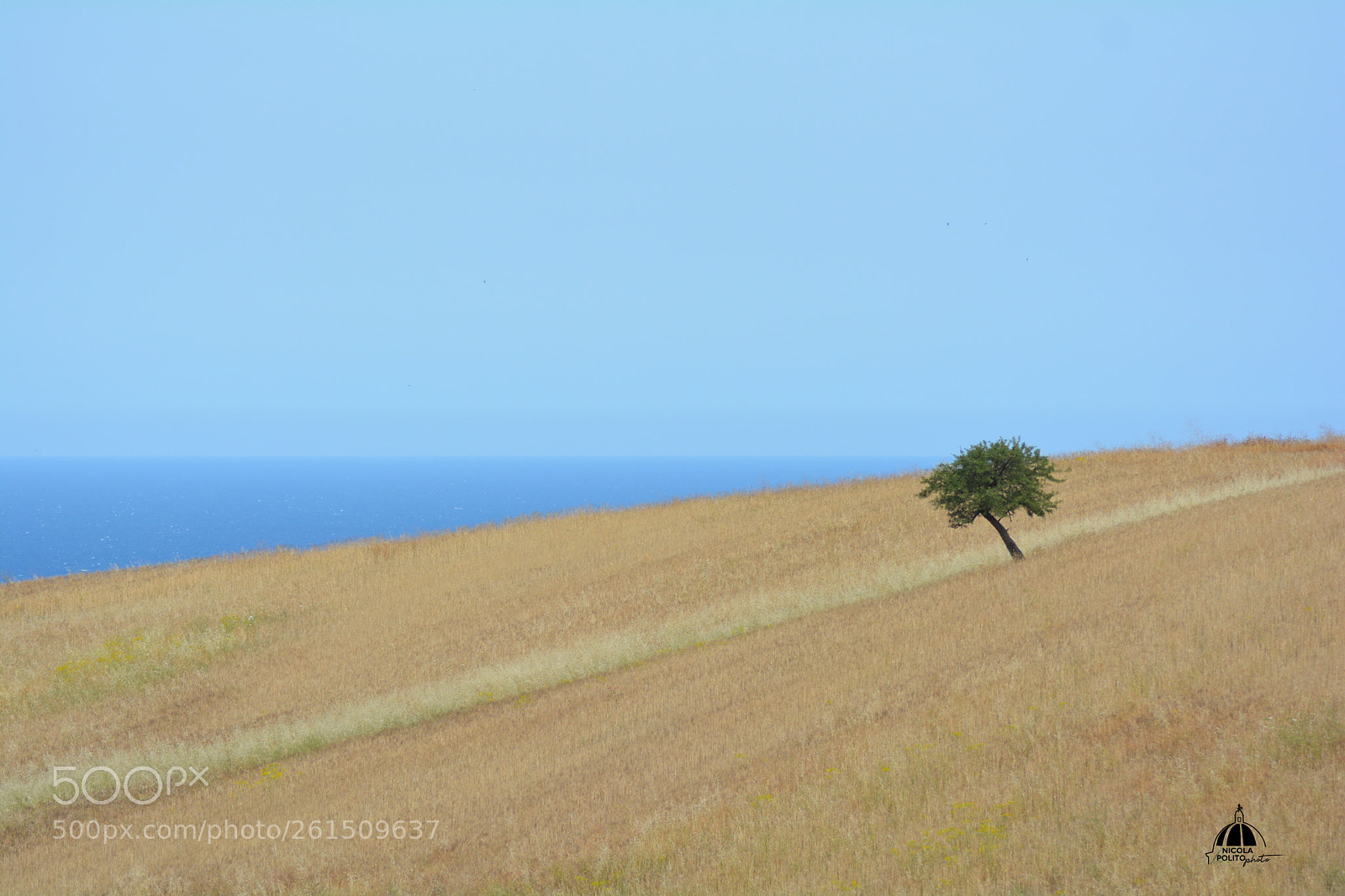 Nikon D5200 sample photo. Naturalmente photography