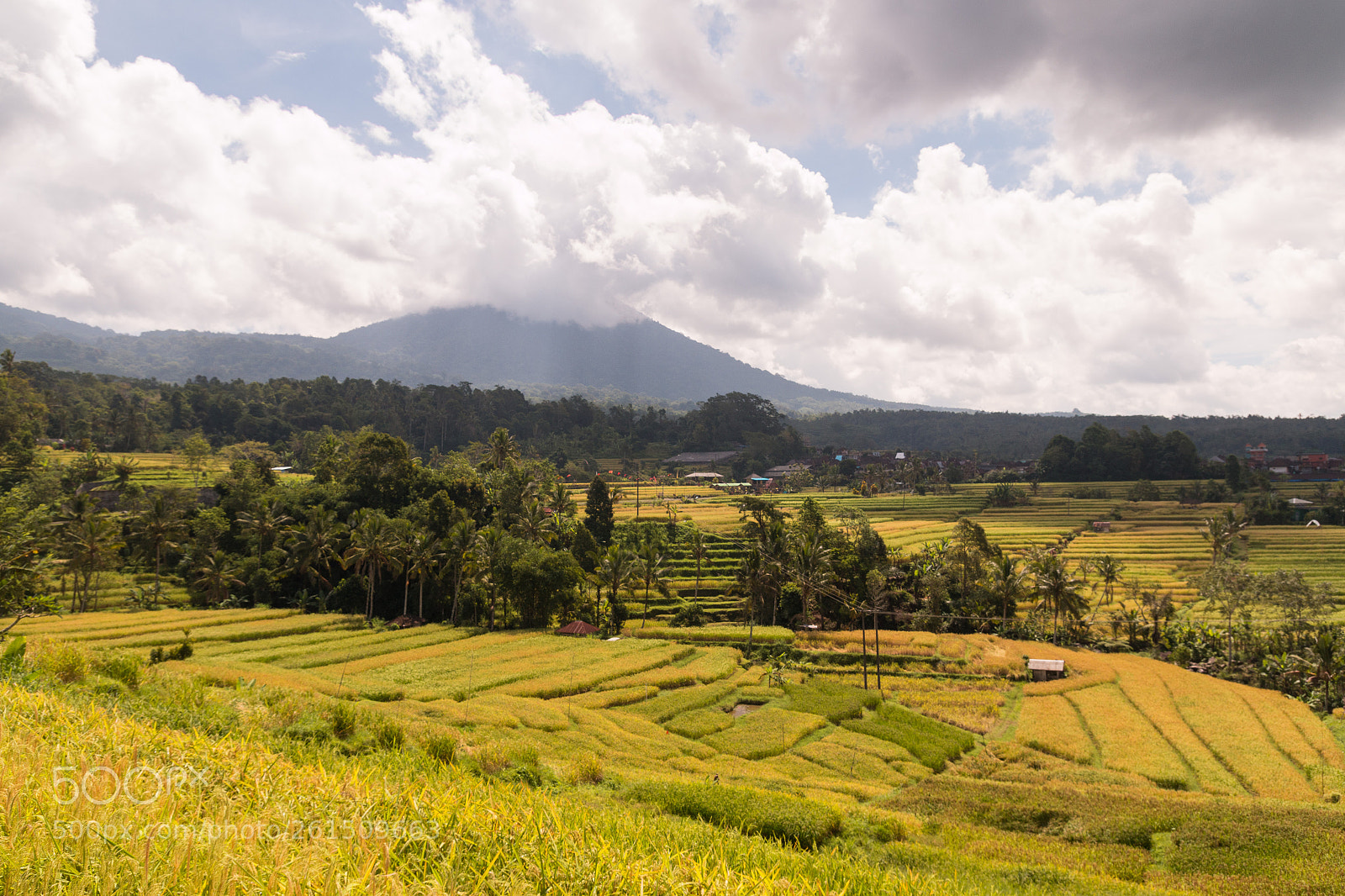 Canon EOS 70D sample photo. Rice terraces photography