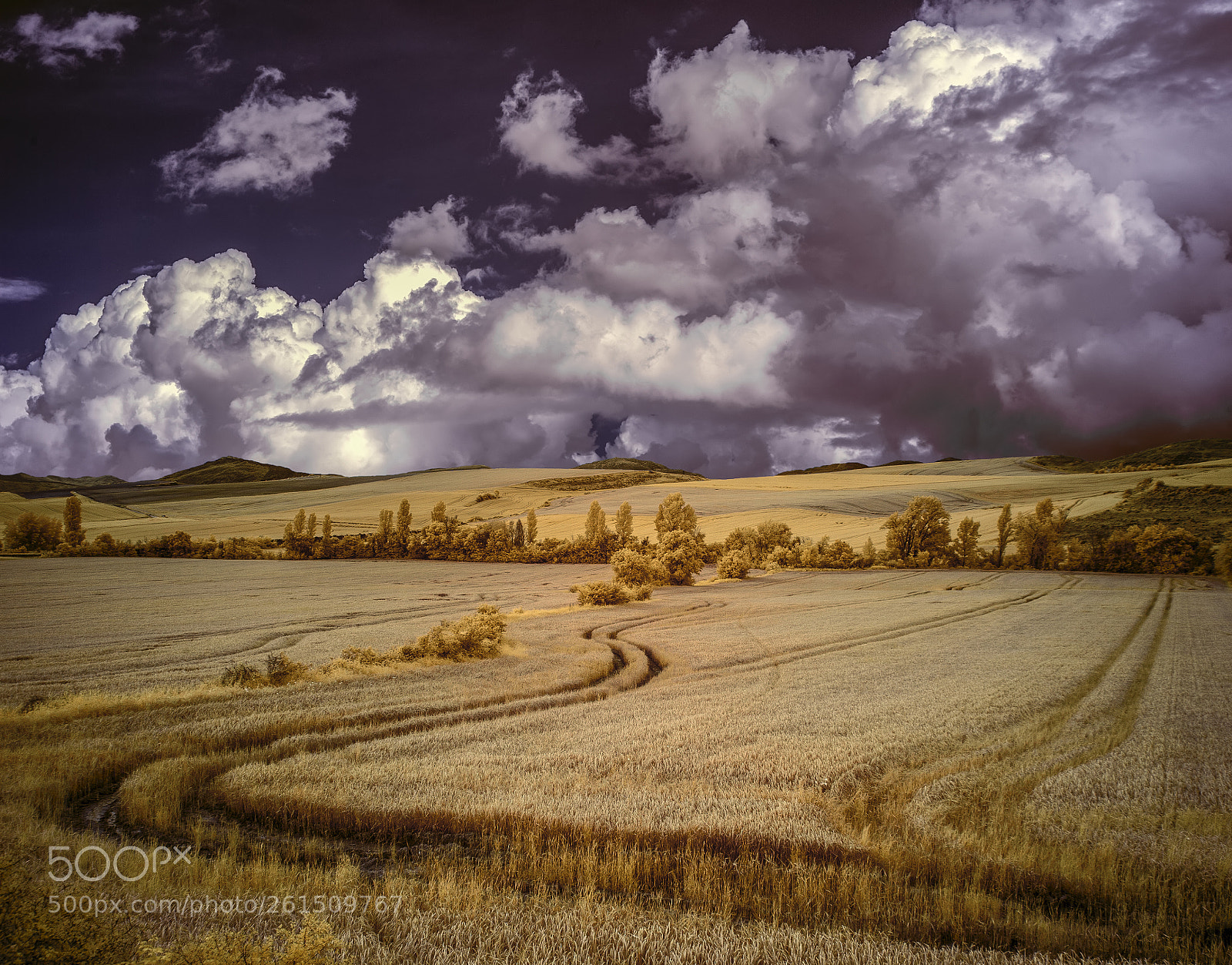 Canon EOS 5D sample photo. Aranguren valley photography