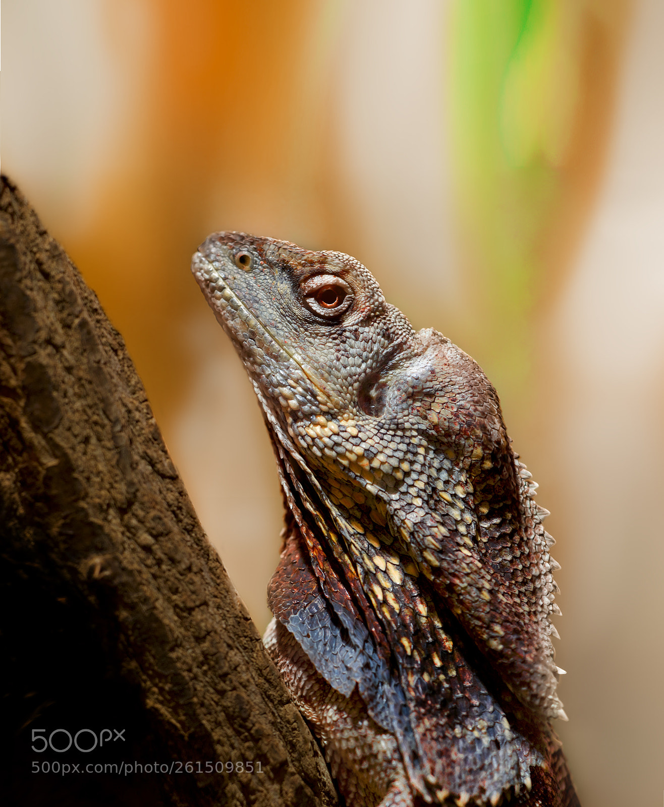 Nikon D800E sample photo. He knows me ;-) photography