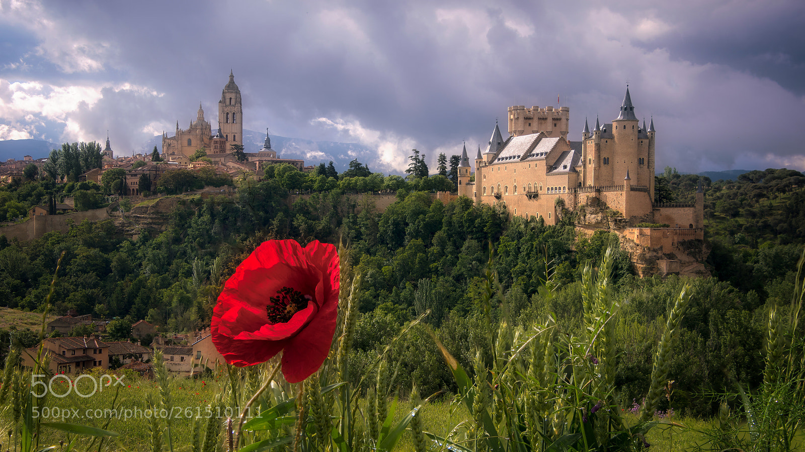 Nikon D7500 sample photo. Alcazar segovia photography