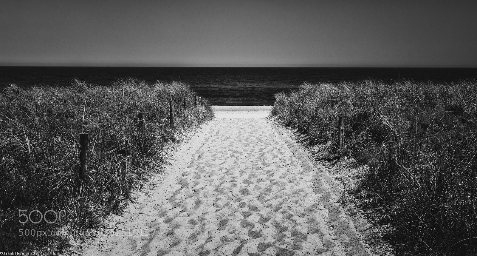 Canon EOS 5D Mark IV sample photo. To the beach photography