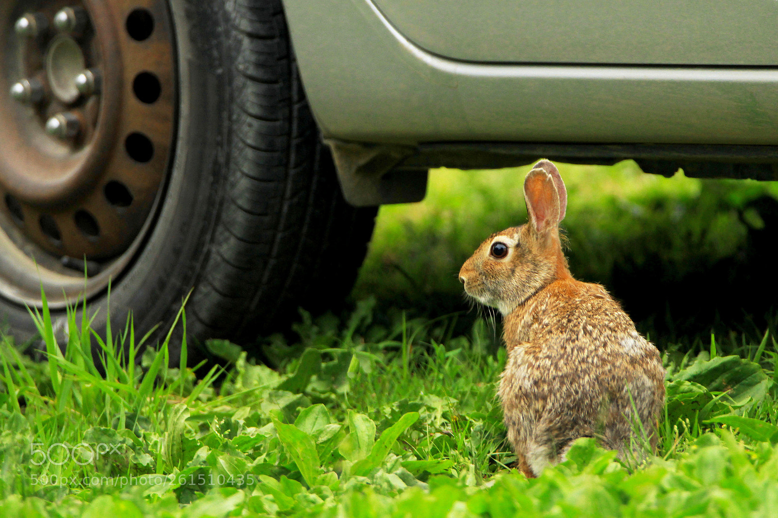 Canon EOS 7D sample photo. Perhaps ironic photography