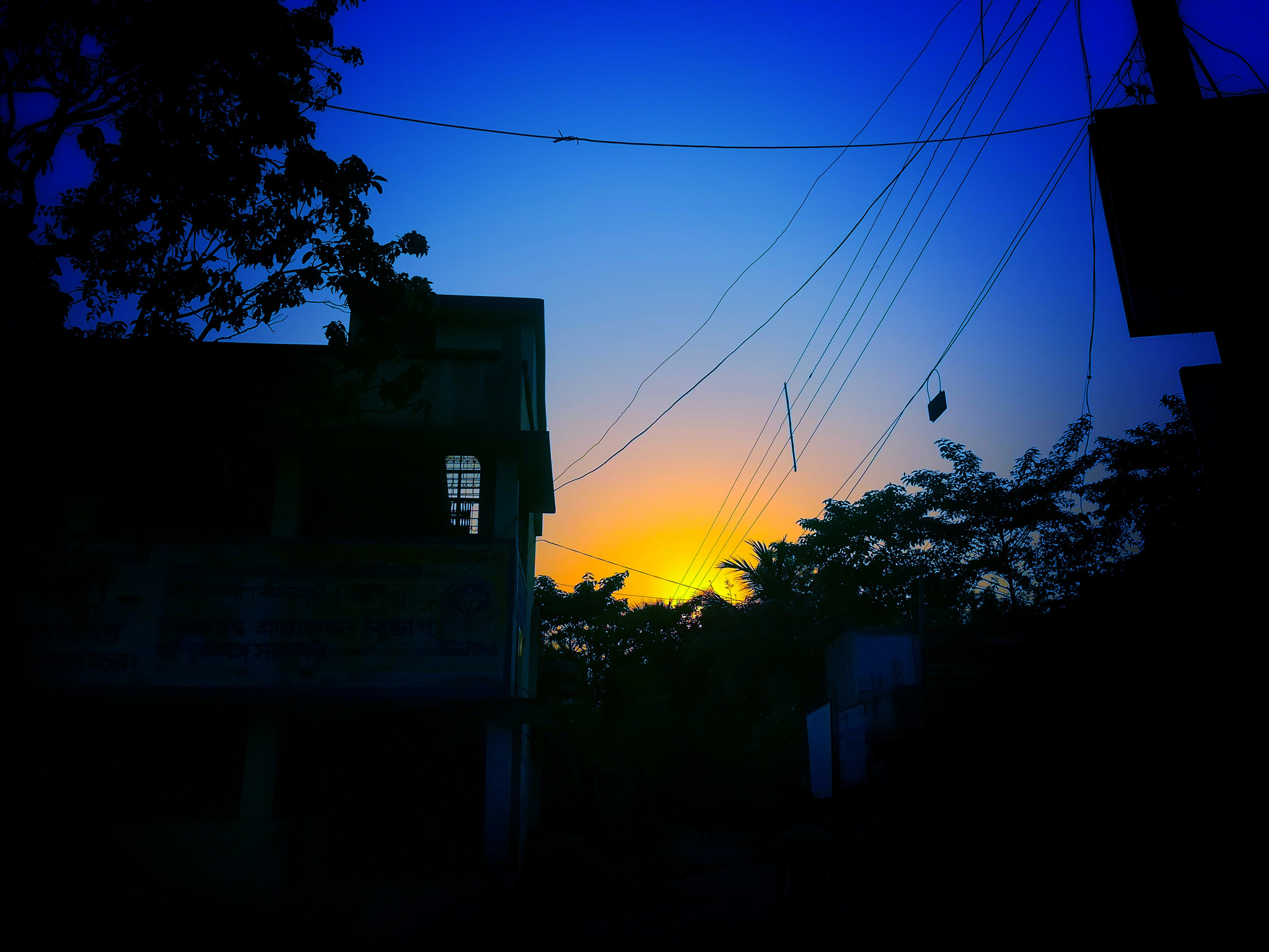 HUAWEI honor 6x sample photo