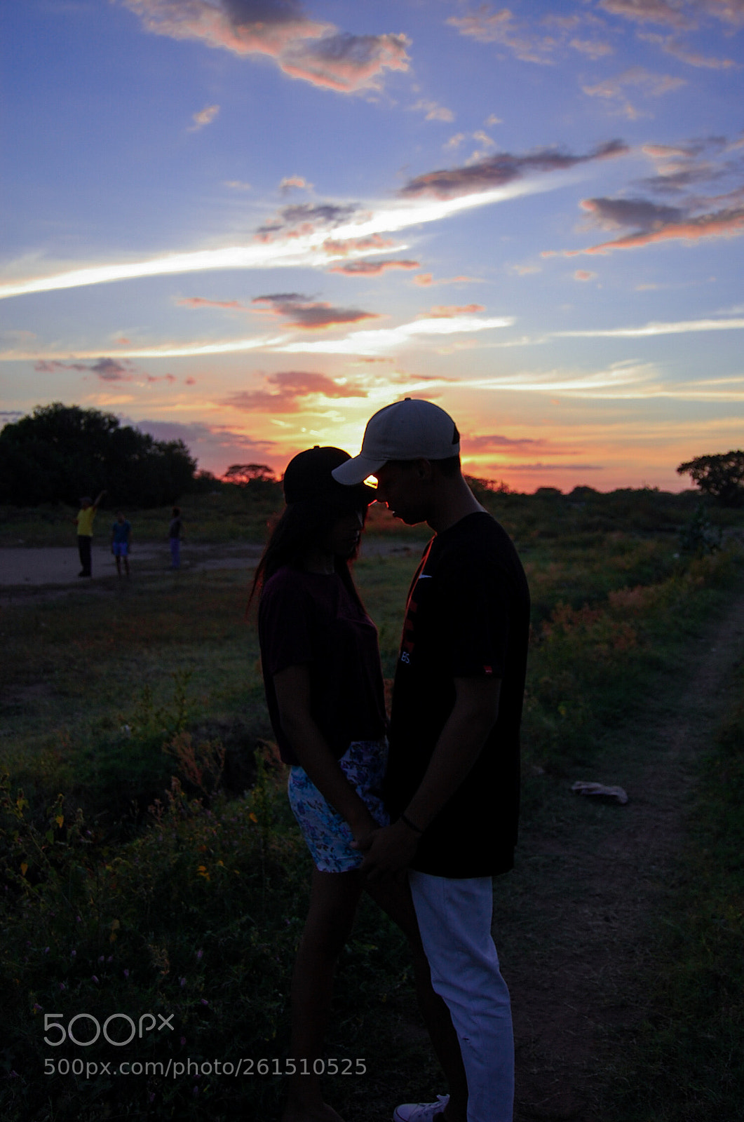 Nikon D40 sample photo. Untitled photography