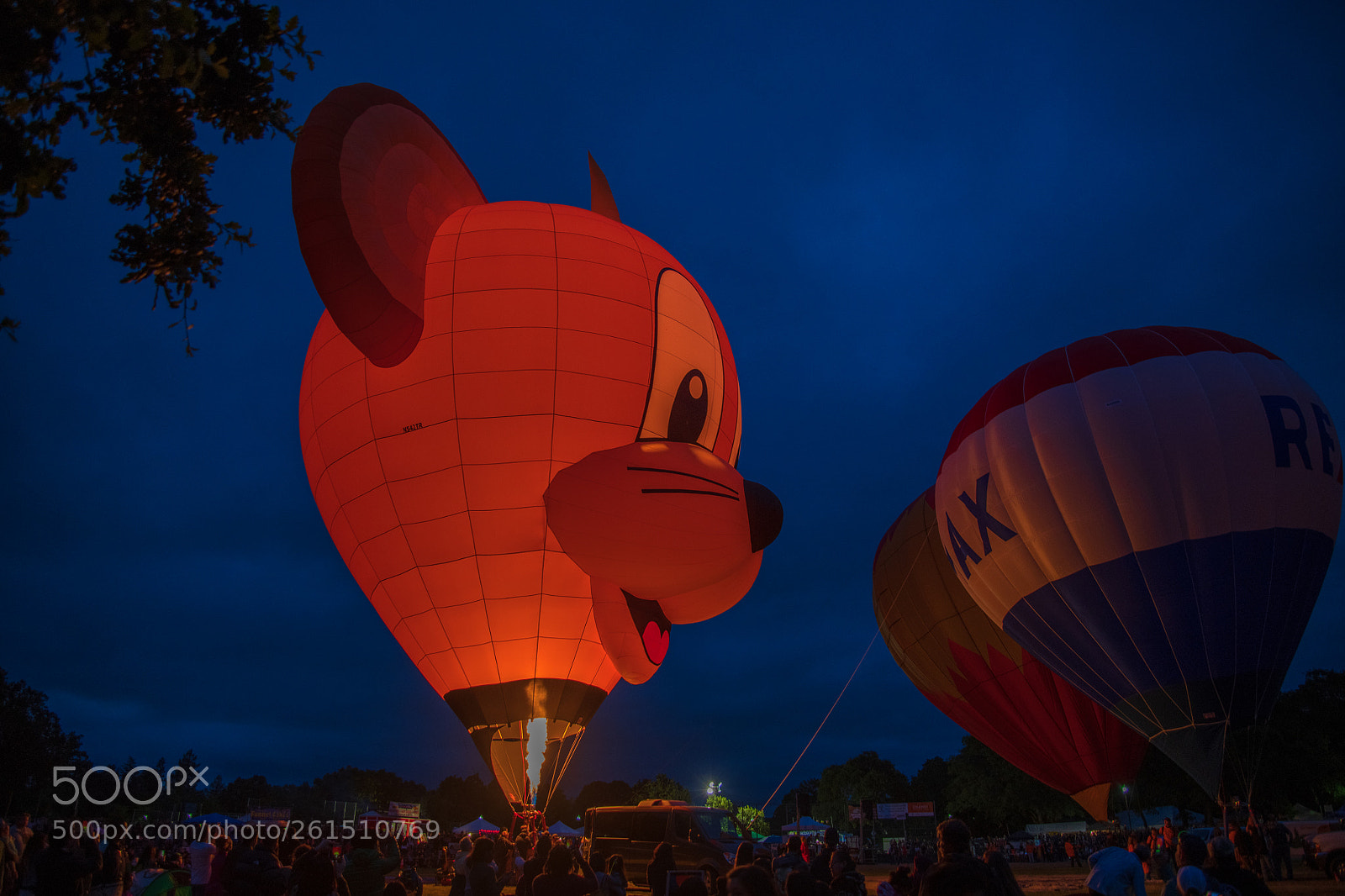 Nikon D850 sample photo. Mouse balloon photography