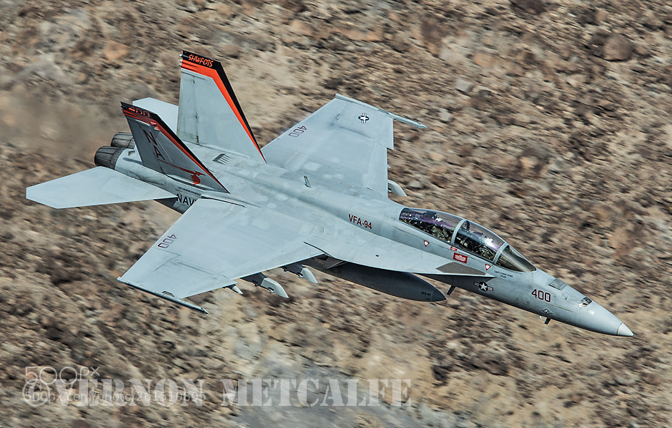 Canon EOS-1D X Mark II sample photo. Mighty shrikes rhino photography