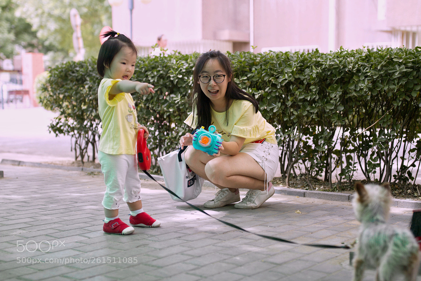 Canon EOS 7D sample photo. Untitled photography