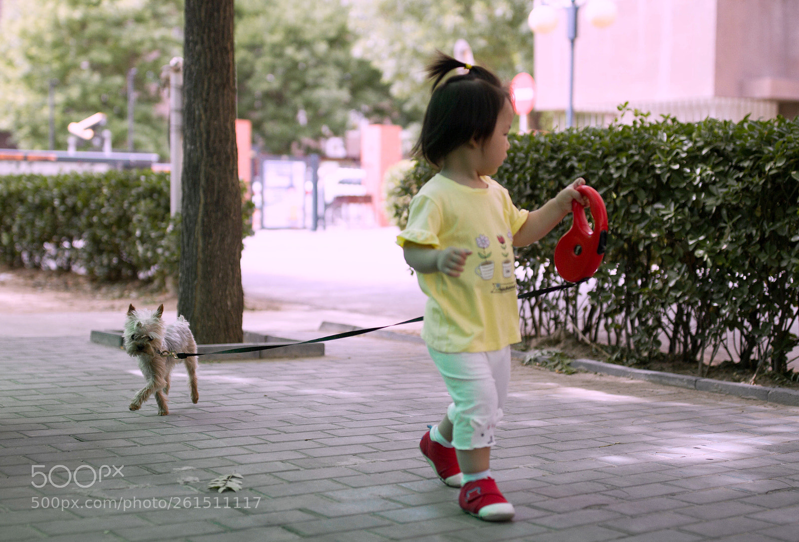 Canon EOS 7D sample photo. Untitled photography