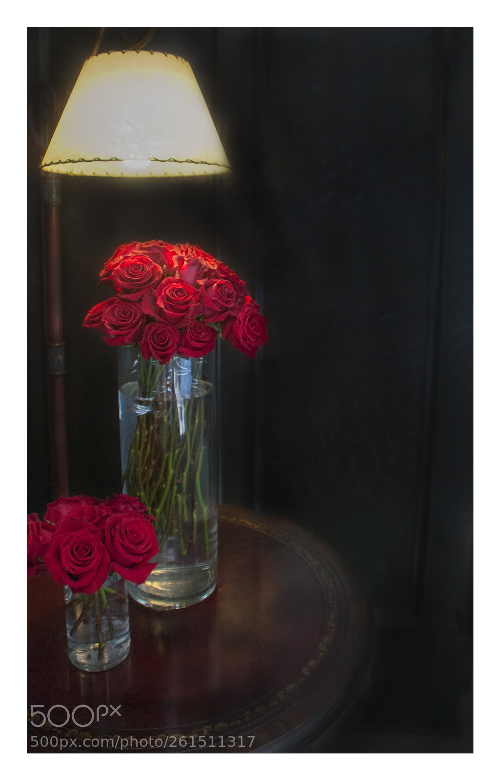 Nikon D300 sample photo. Rosesr photography