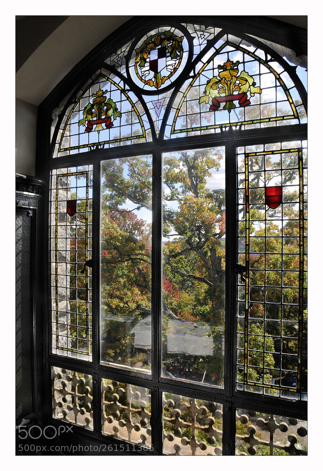 Nikon D300 sample photo. Wmccardconf r photography