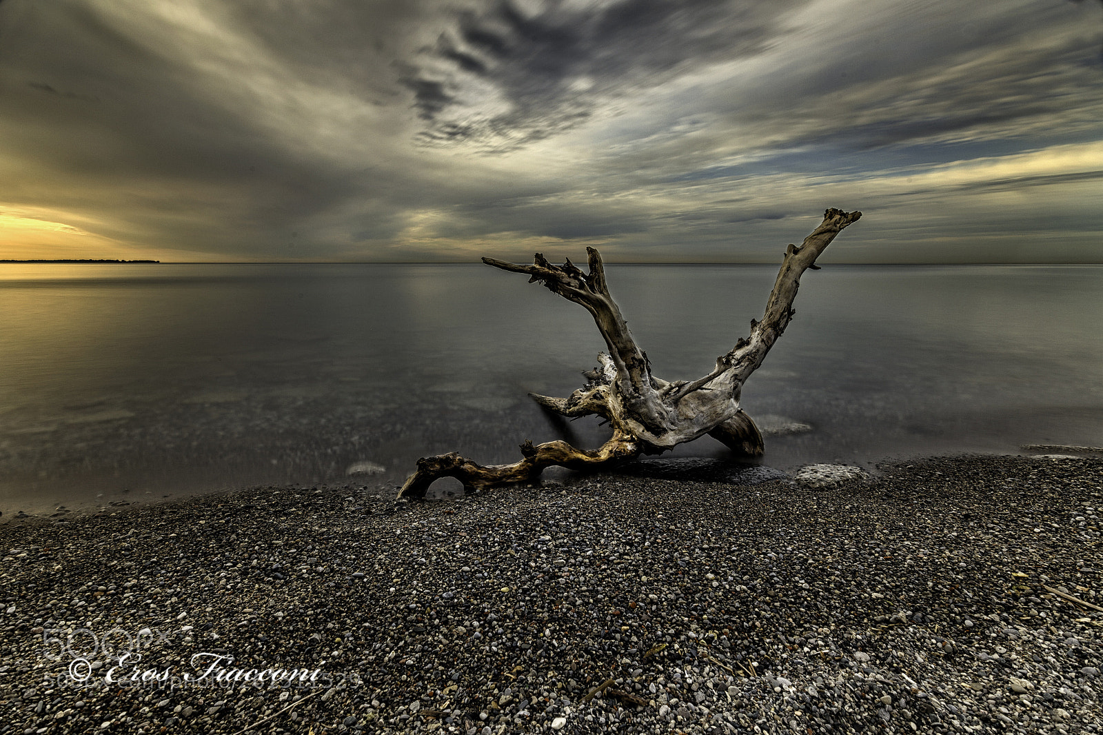 Canon EOS 5D Mark II sample photo. Driftwood in the morning photography