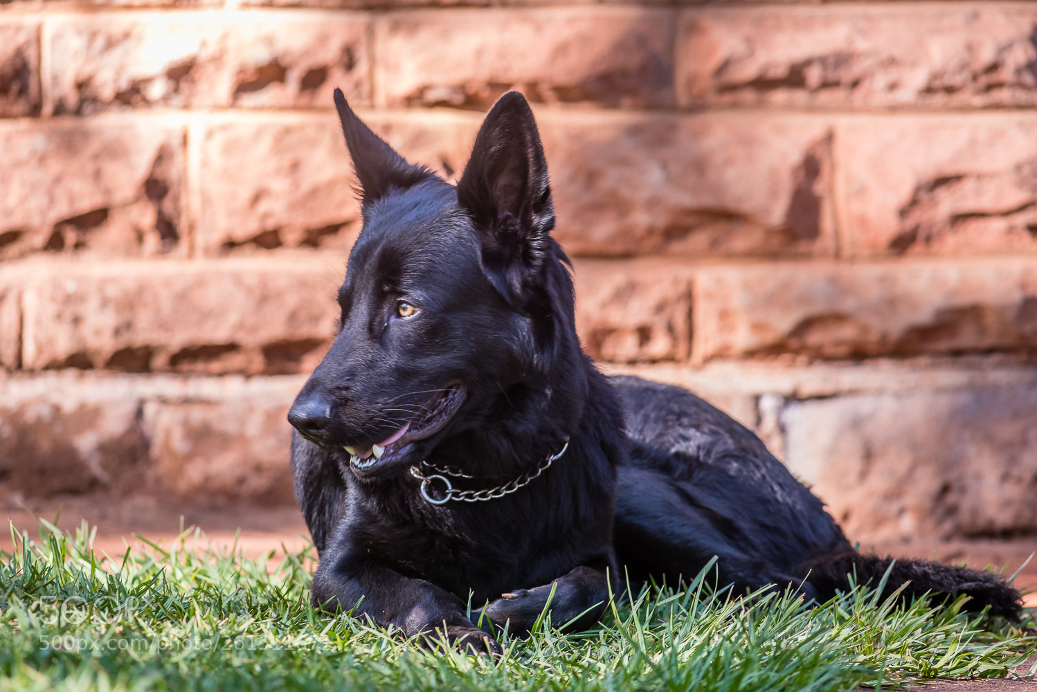 Nikon D750 sample photo. Max photography