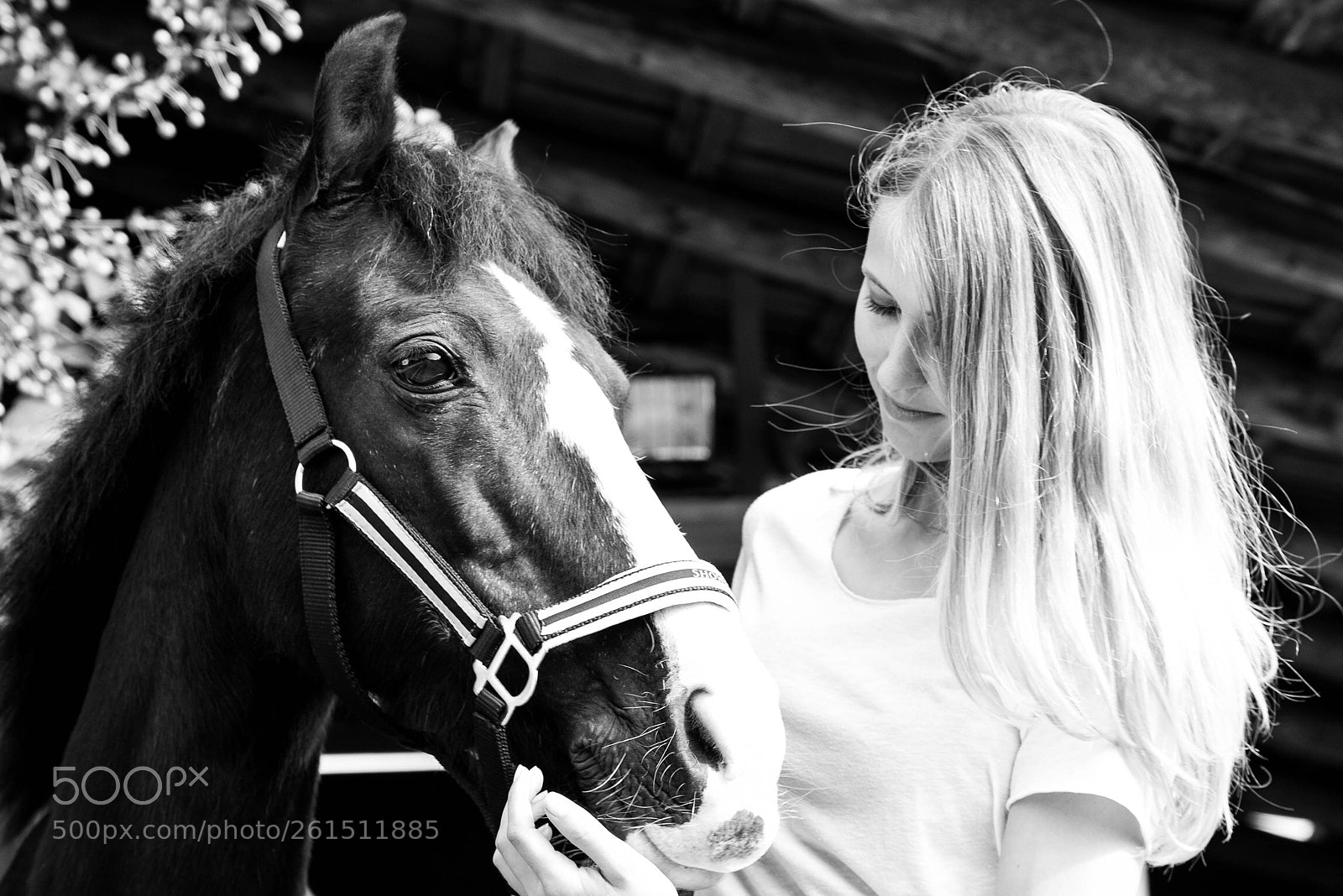 Canon EOS 6D Mark II sample photo. Girl with horse photography
