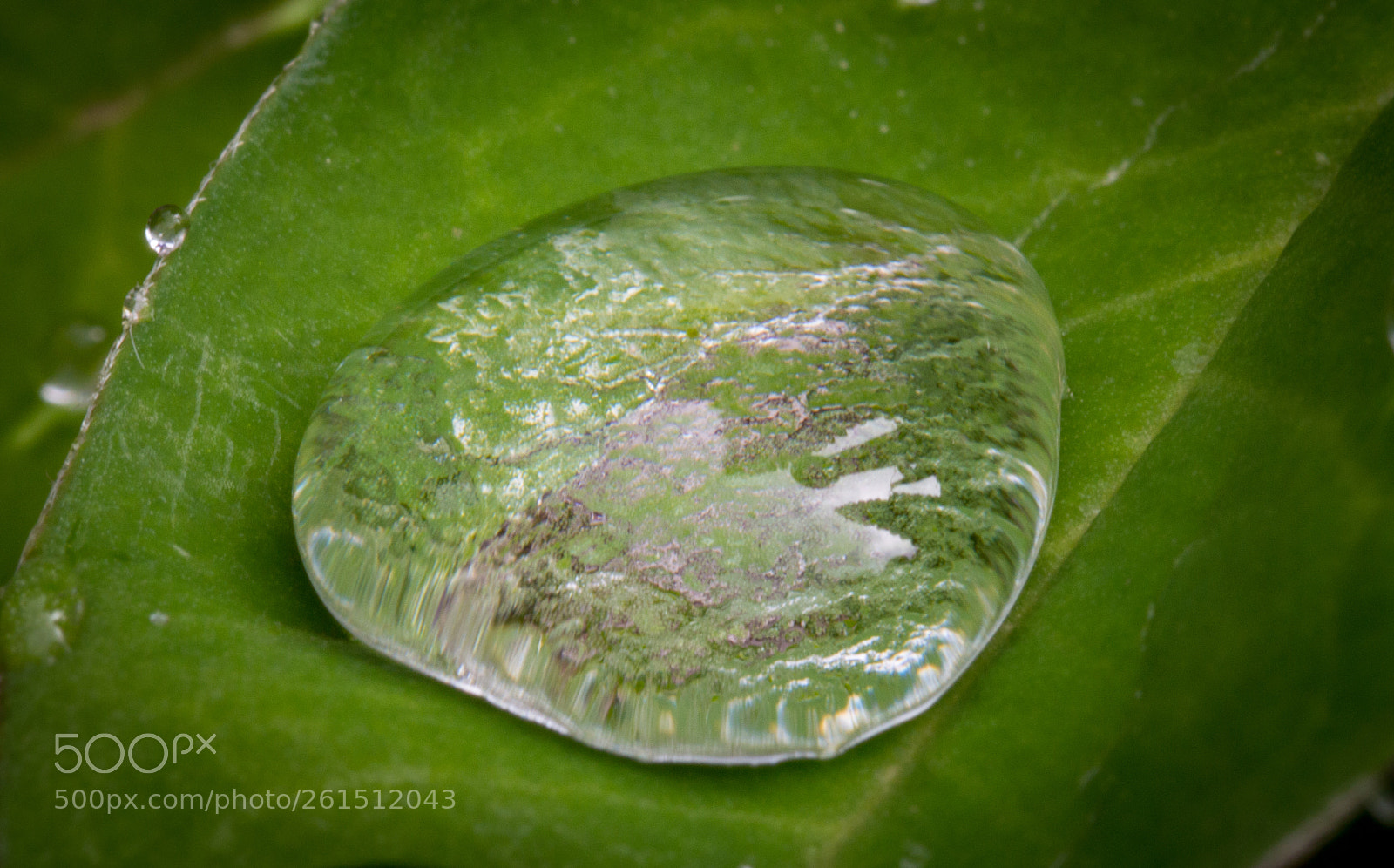 Nikon D3200 sample photo. Droplet photography
