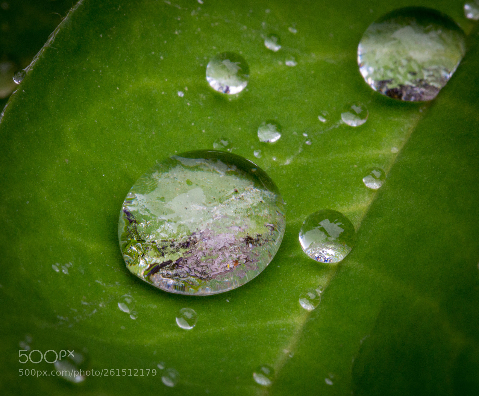 Nikon D3200 sample photo. Water droplet photography