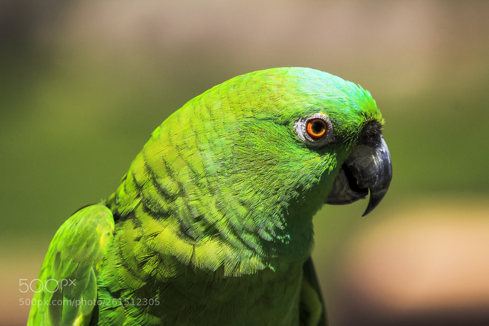 Canon EOS 60D sample photo. Thinking photography