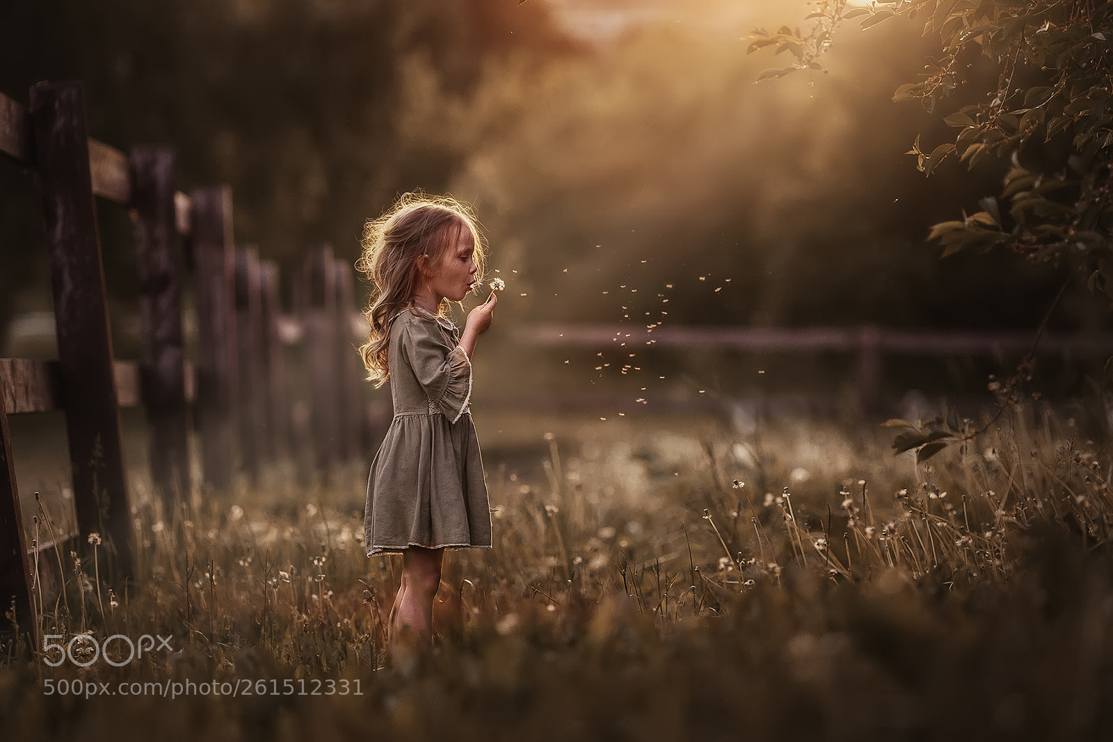 Canon EOS 5D sample photo. Summer evening photography