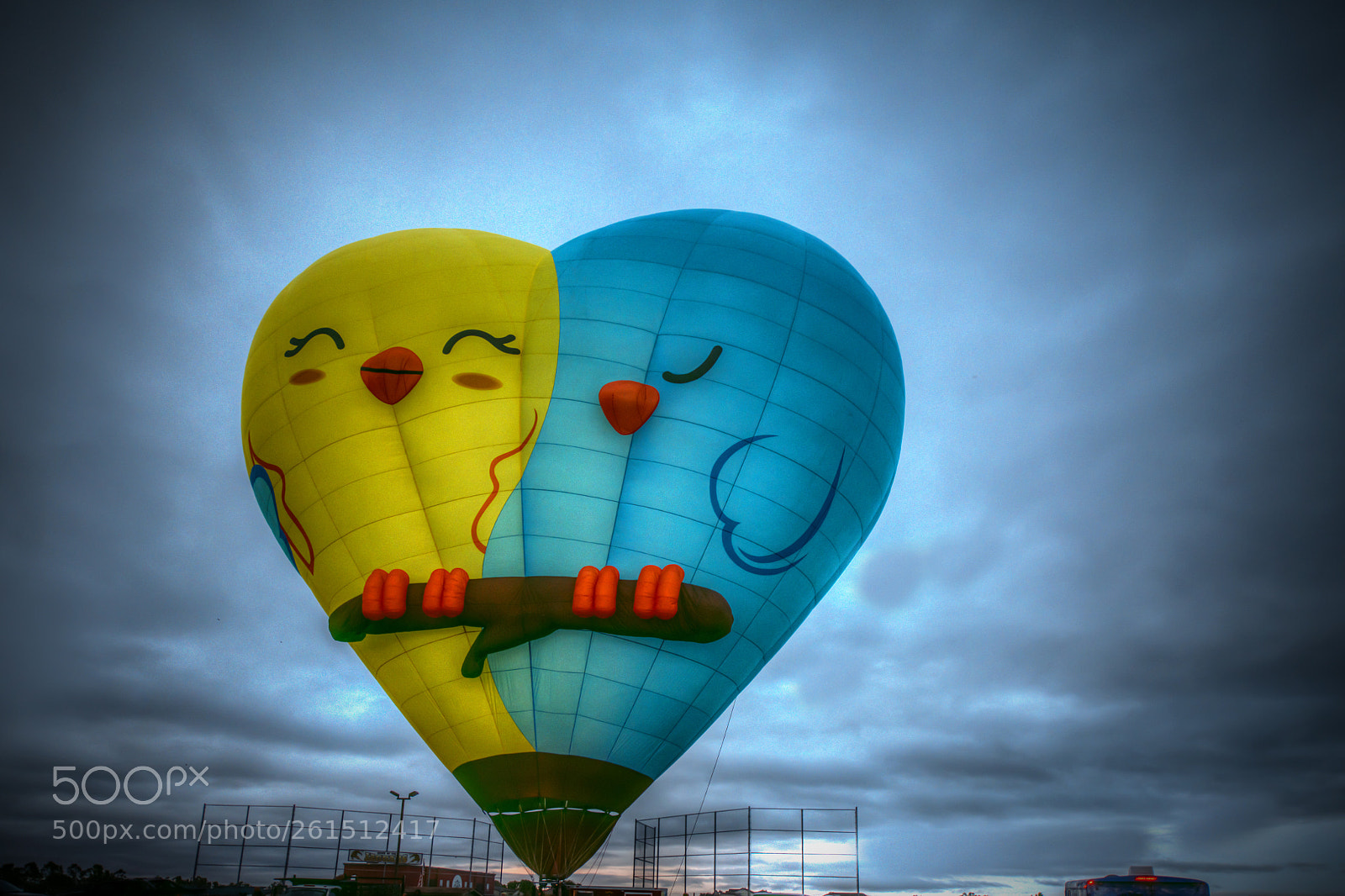 Nikon D850 sample photo. Tweet birds balloon photography