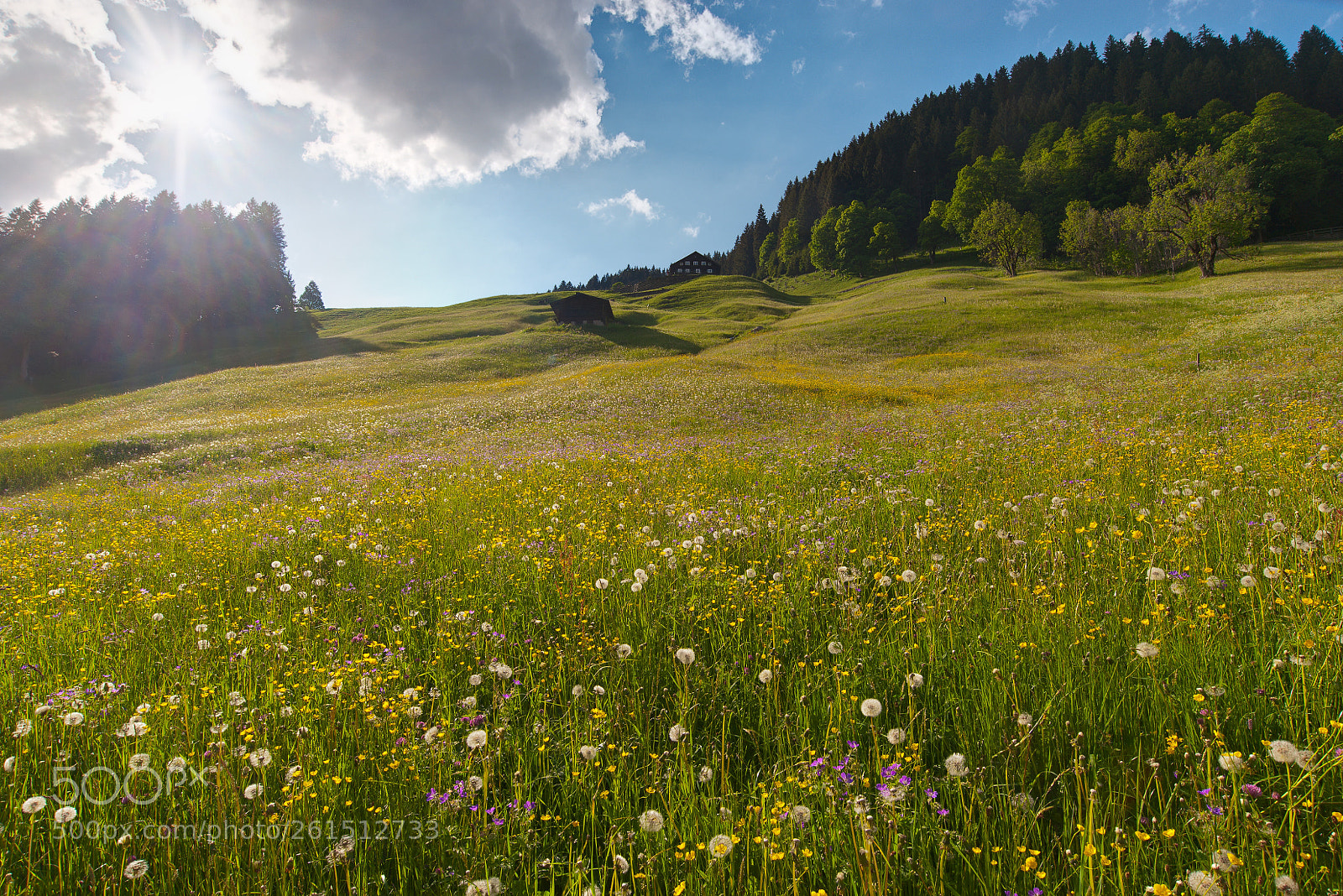 Nikon D700 sample photo. Mittelberg photography