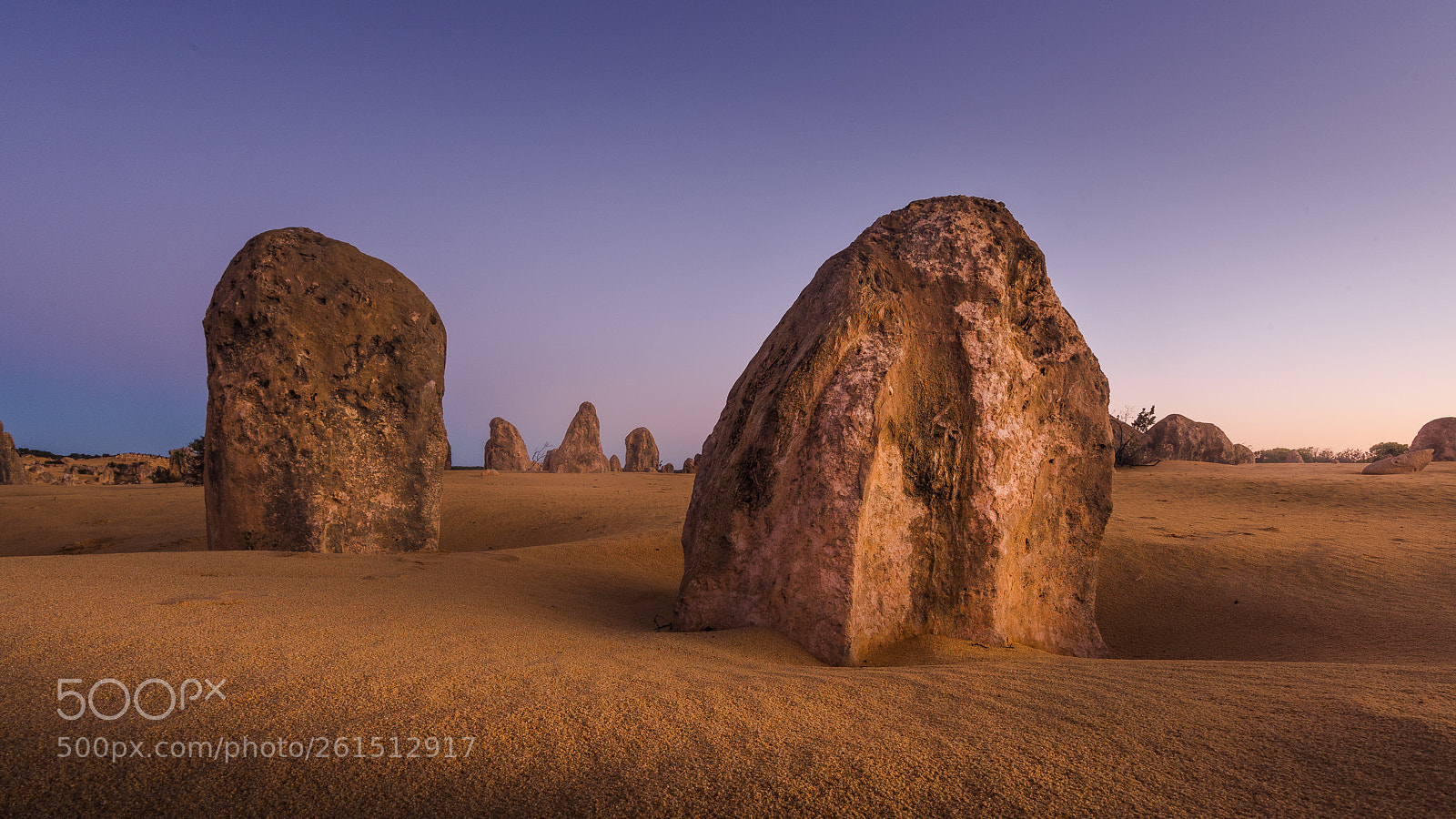Nikon D810 sample photo. Pinnacles desert photography