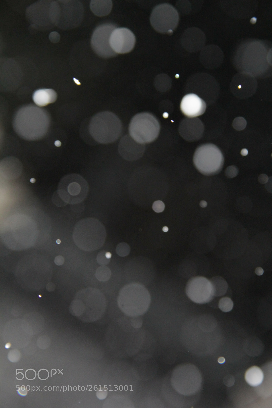 Canon EOS 60D sample photo. Snow photography