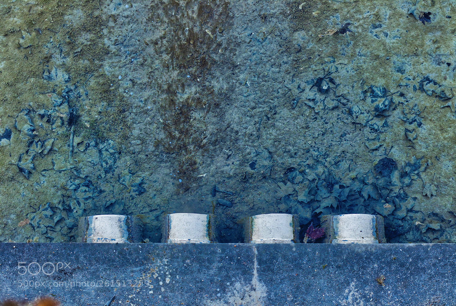 Canon EOS 5DS R sample photo. Dsr photography