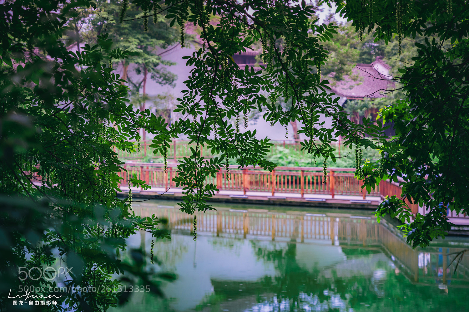 Sony a7 II sample photo. Untitled photography