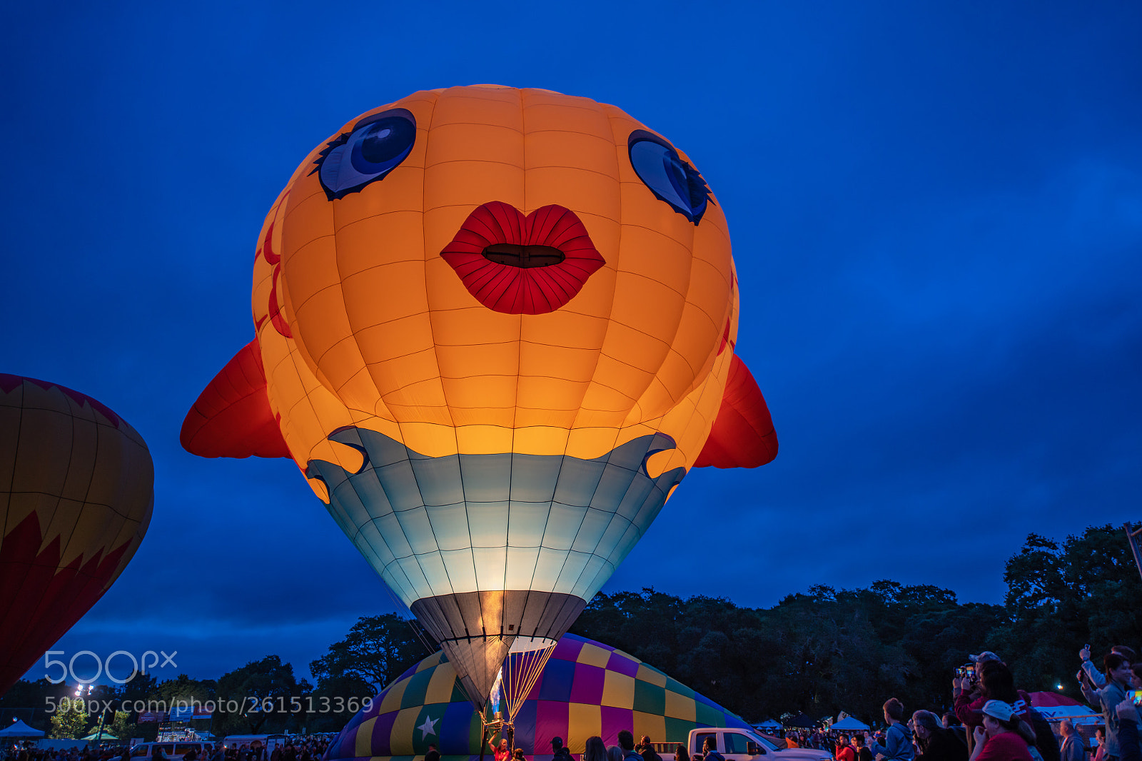 Nikon D850 sample photo. Hot air balloon photography