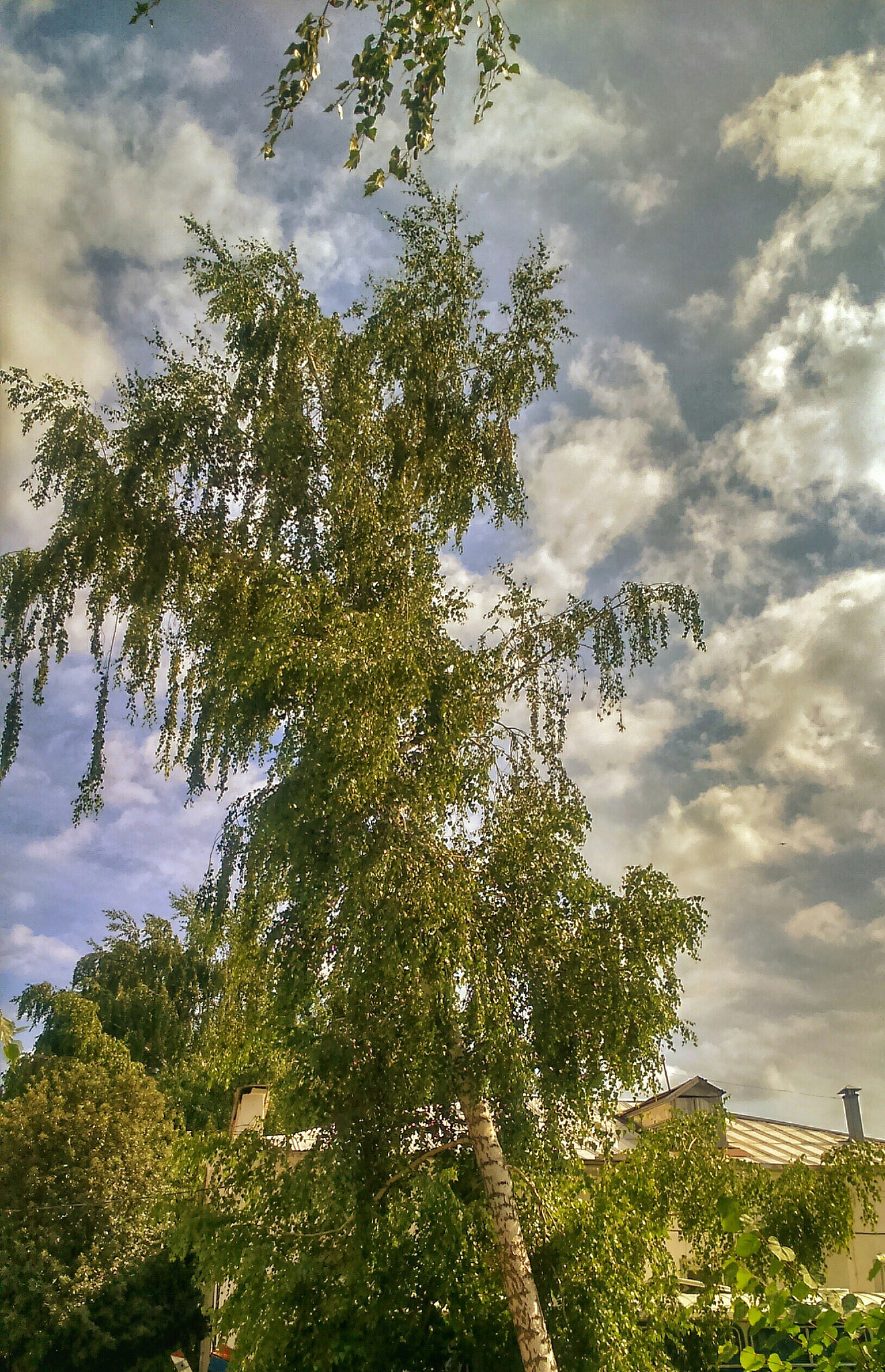 Sony Xperia M2 sample photo