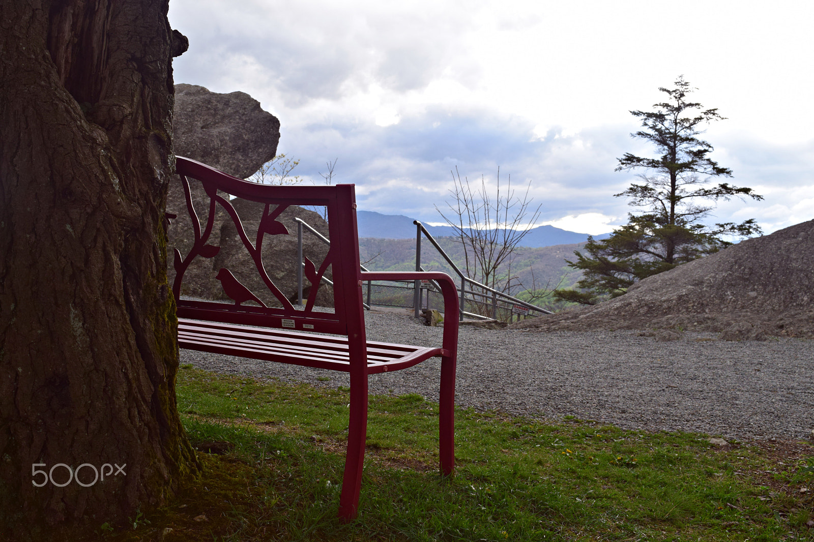 Nikon D5300 sample photo. Dsc photography