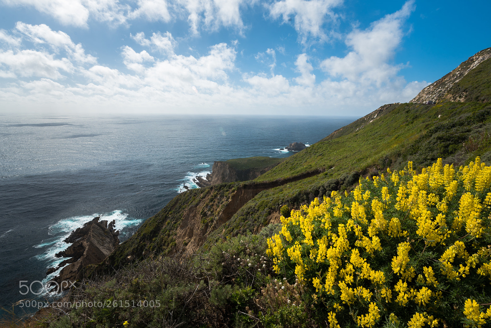 Nikon D750 sample photo. Big sur photography