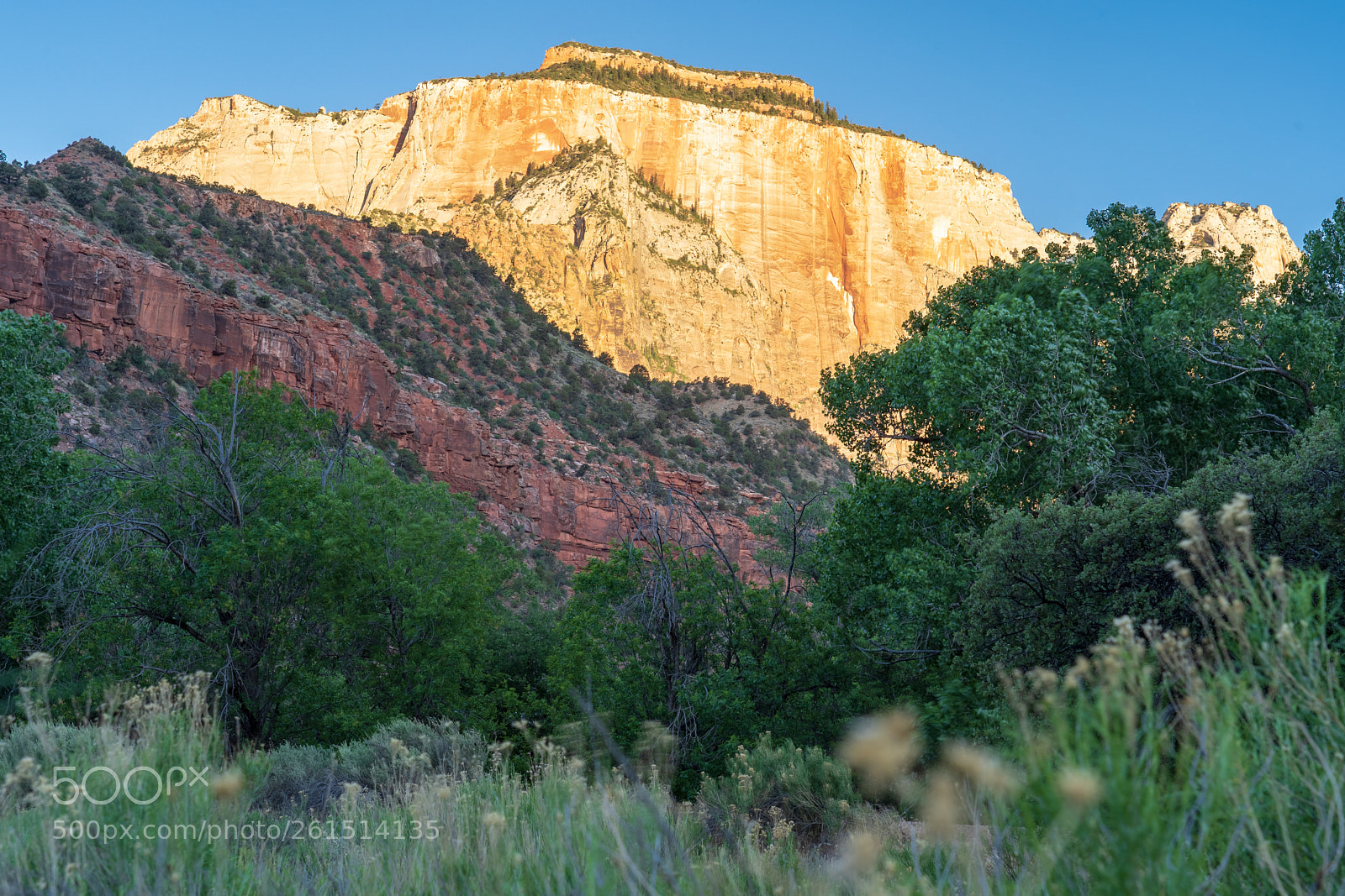 Sony a7 III sample photo. Zion national park photography