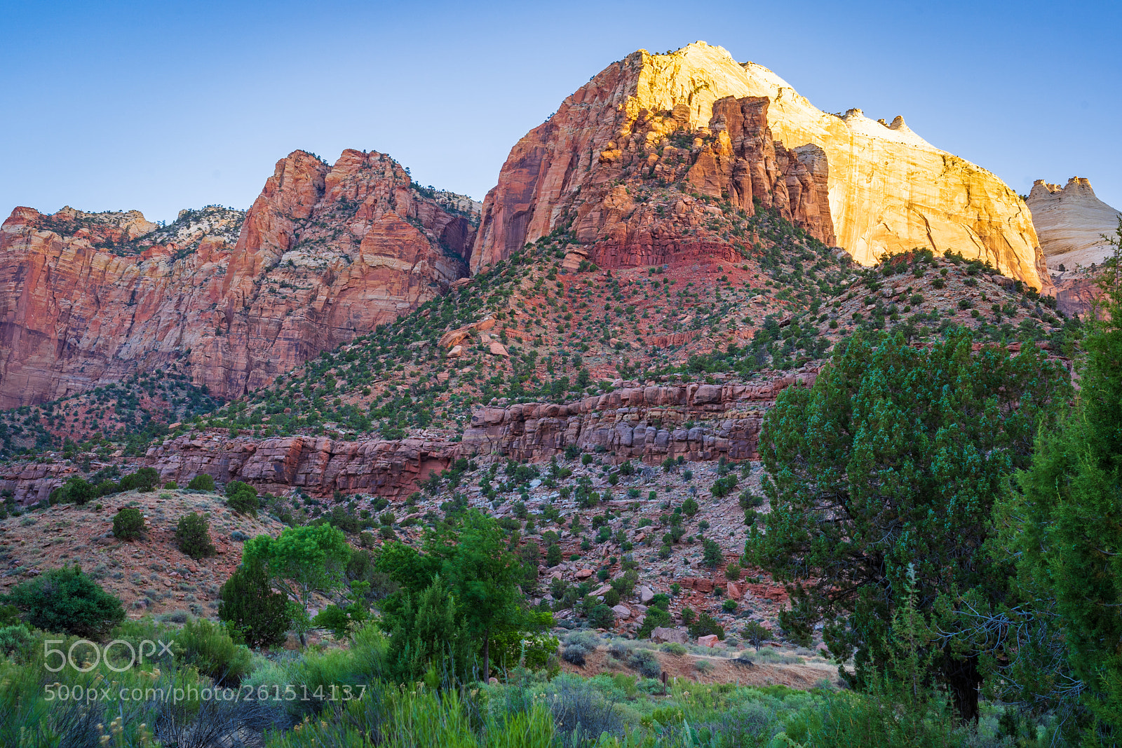 Sony a7 III sample photo. Zion national park photography