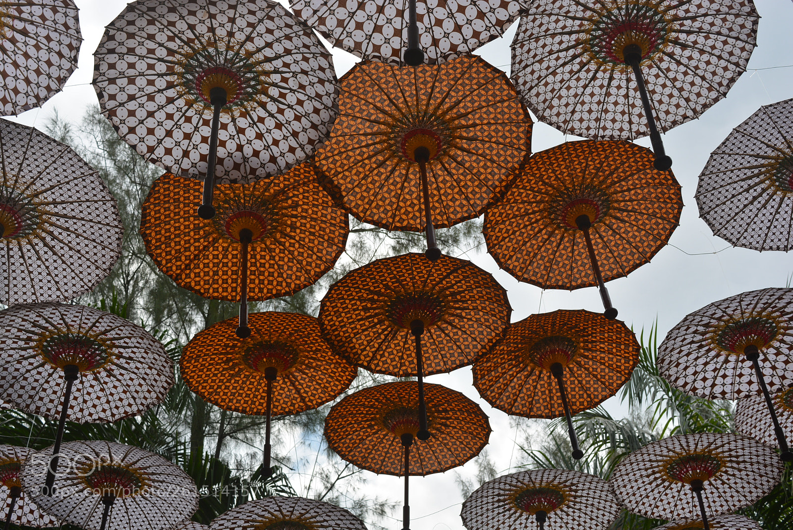 Nikon D5200 sample photo. Umbrella festival photography
