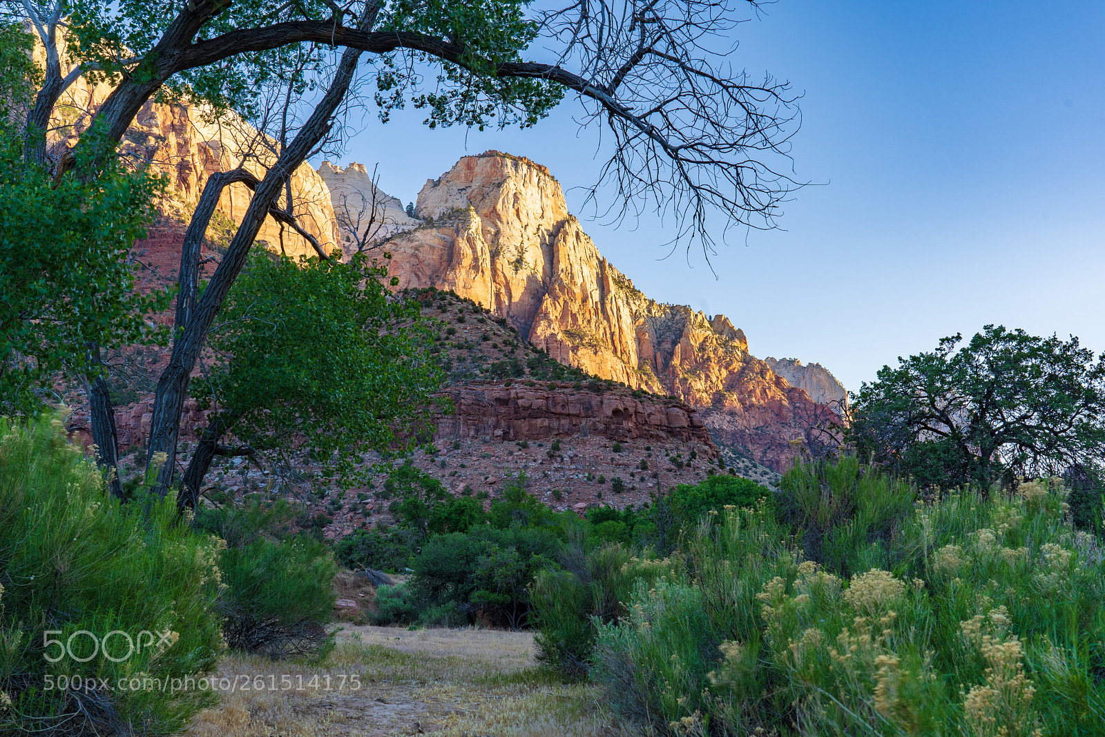 Sony a7 III sample photo. Zion national park photography