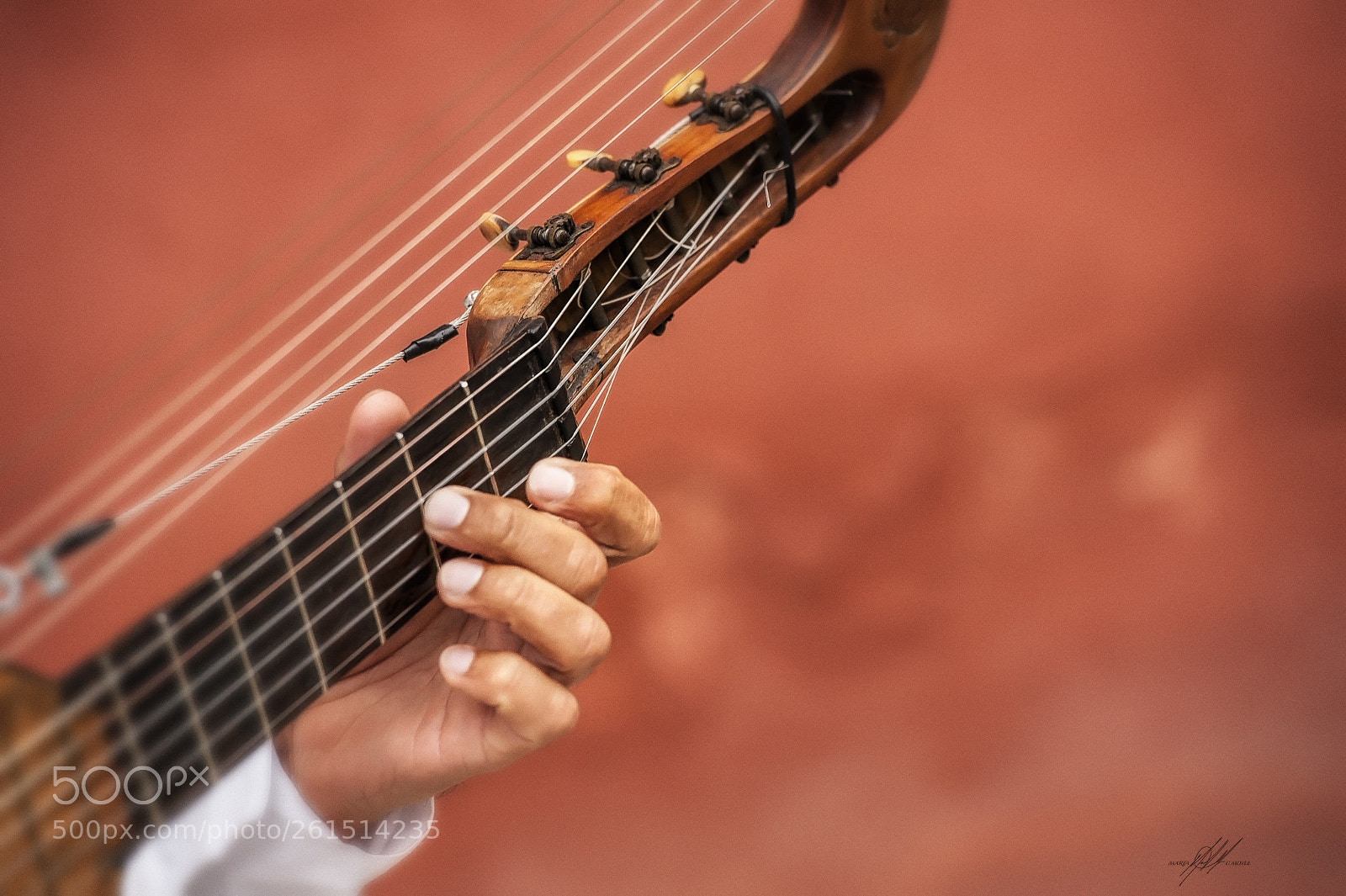 Nikon D700 sample photo. Lute players hand photography