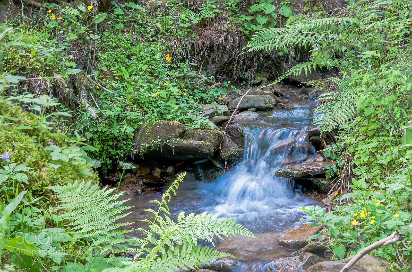 Nikon D300S sample photo. Crystal clean little creek photography