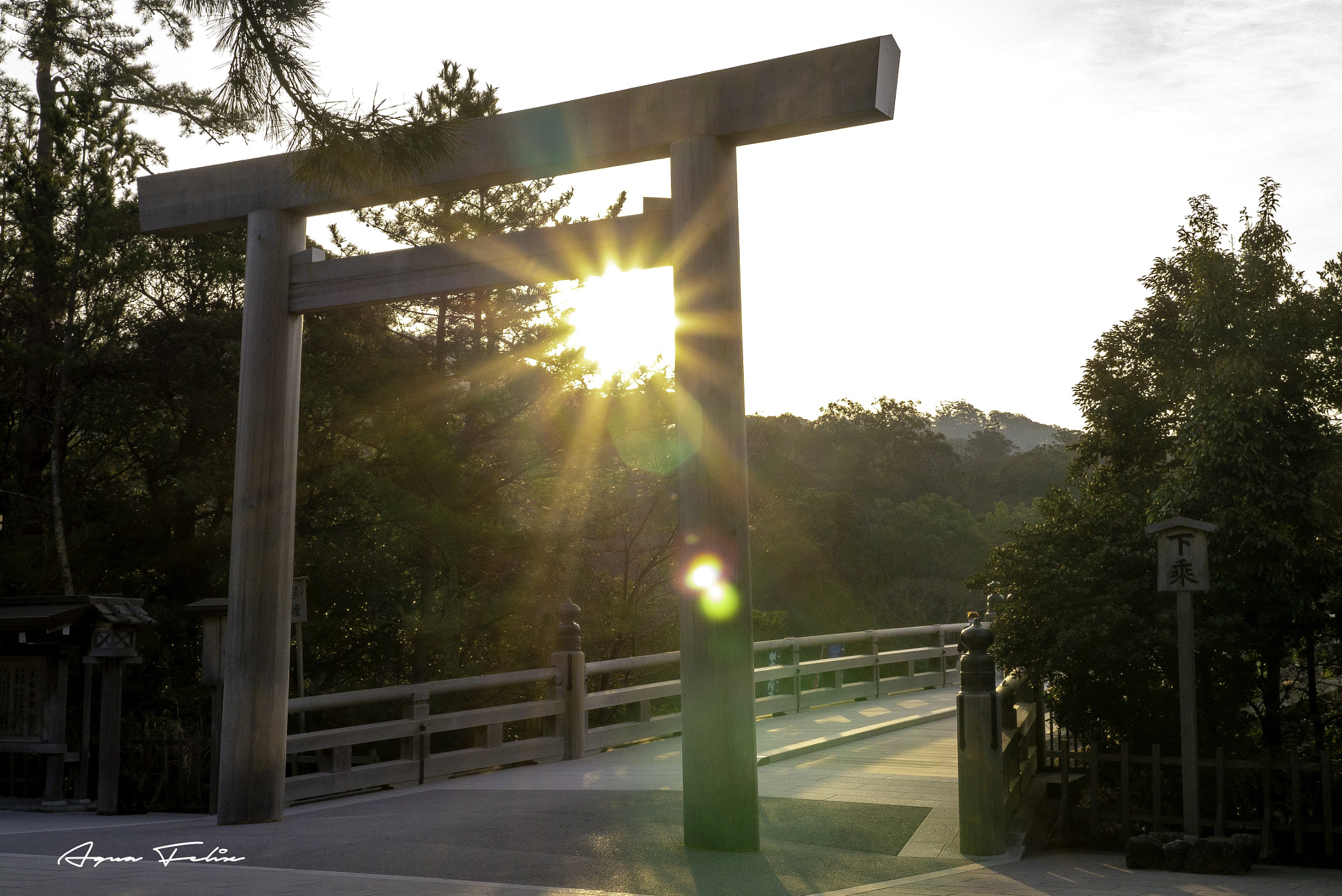 Panasonic Lumix DMC-GX1 sample photo. Sunrise through torii of inner ise-jingu shrine photography