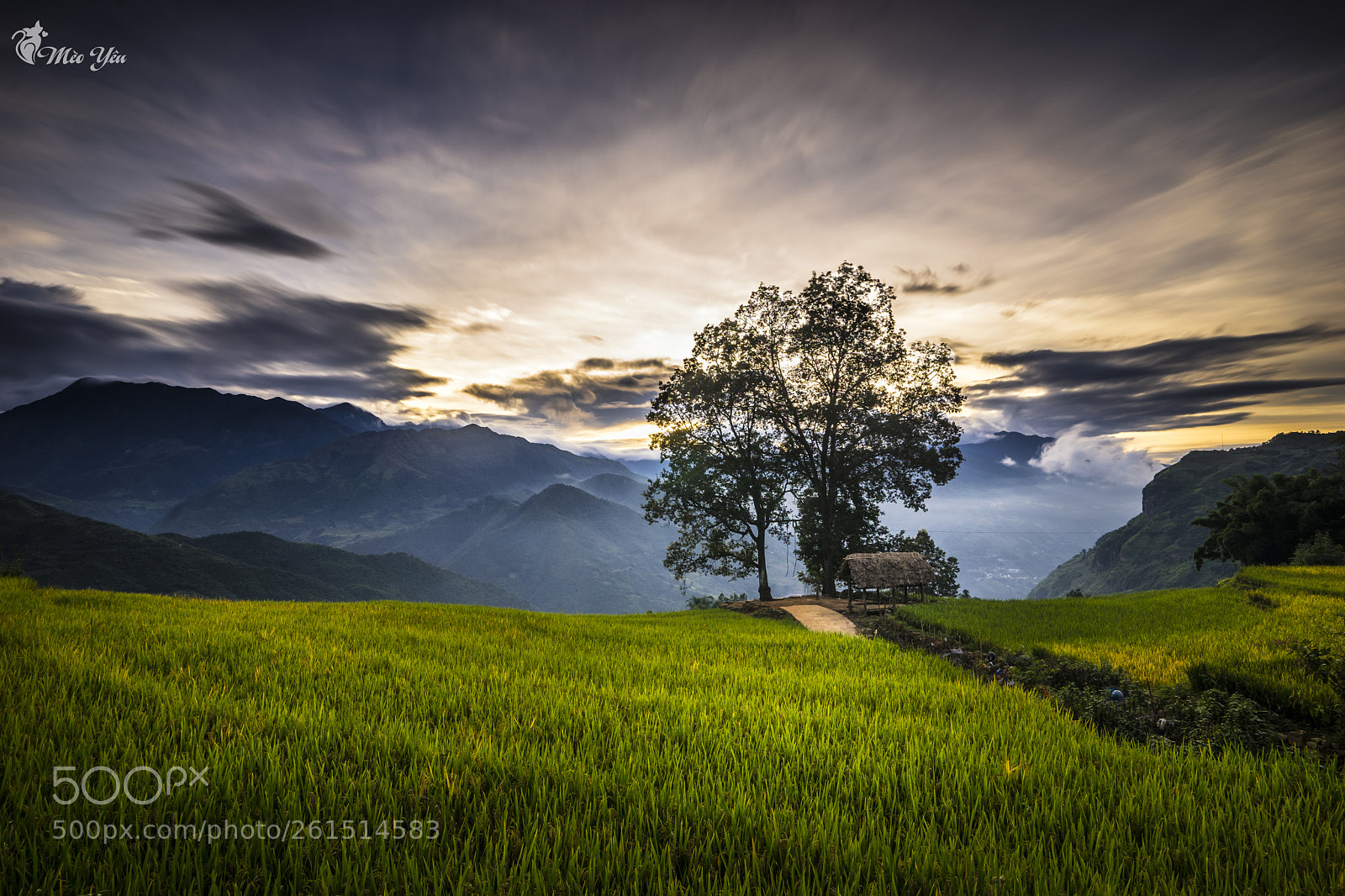 Sony a7 sample photo. Sunset in choen then photography